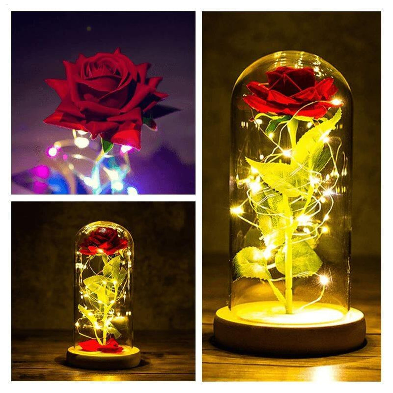 Rosa Eterna®